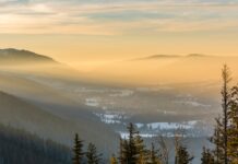 Smog dusi całą Polskę. Brak reakcji Ministerstwa Klimatu na kryzys